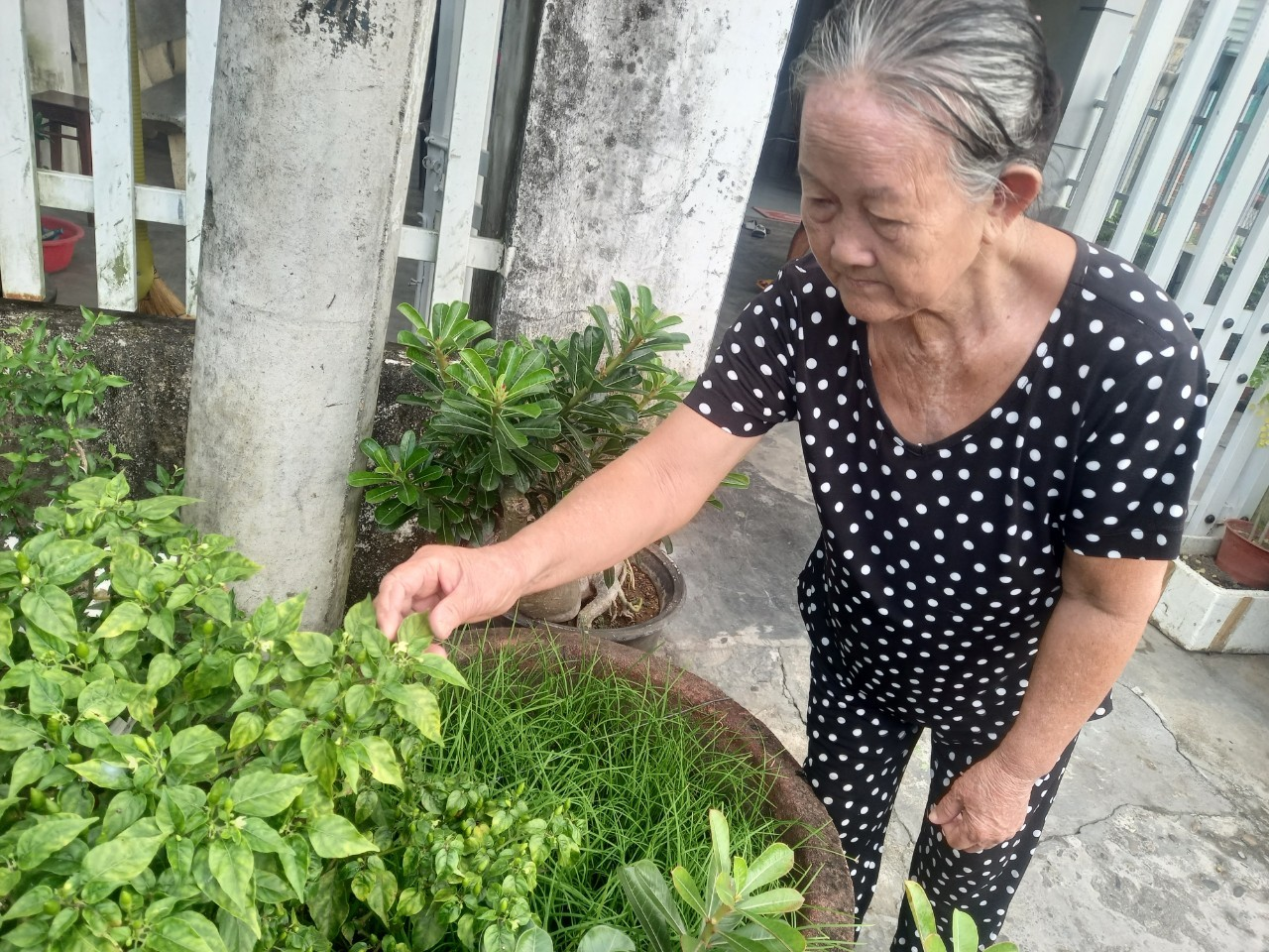 Bà Võ Thị Duyên.png (2.05 MB)